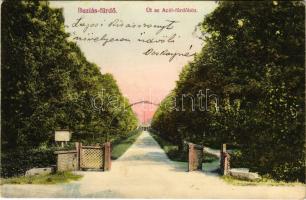 1907 Buziásfürdő, Baile Buzias; út az acélfürdőhöz. Francz Testvérek kiadása / road to the bath, spa (EK)