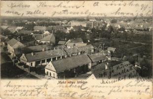 1906 Makó, látkép (fl)