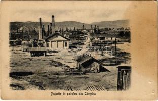 Campina, Puturile de petroleu / Oil wells (EK)