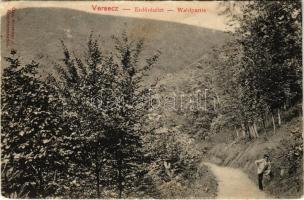 1916 Versec, Werschetz, Vrsac; Erdő. Özv. Kirchner J.E. kiadása / forest (EK)