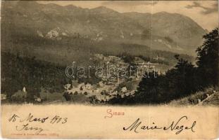 1903 Sinaia, general view (EK)