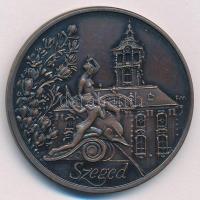 Fritz Mihály (1947-) / Lapis András (1942-) DN "Szeged" kétoldalas bronz emlékérem (42,5mm) T:1 patina