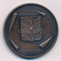 Fritz Mihály (1947-) / Lapis András (1942-) DN "Szeged" kétoldalas bronz emlékérem (42,5mm...