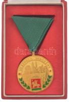 ~1970-1980. Veszprém városért aranyozott, részben műgyantás kitüntetés, eredeti tokban T:1-