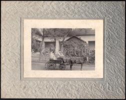 cca 1920 Népviseletes juhász kocsin. Fotó kartonon 14x28 cm