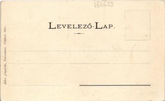 Vajdahunyad, Hunedoara; Vajda-Hunyad vára. Adler fényirda / castle (vágott / cut)