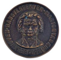 1960. "Beethoven hangversenyek Martonvásár 1960" egyoldalas bronz emlékérem (70mm) T:1-