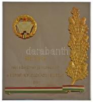1981. Központi Népi Ellenőrzési Bizottság aranyozott, ezüstözött, részben műgyantás, részben zománcozott kitüntető plakett dísztokban (105x89mm) T:1-