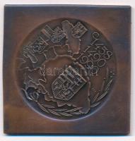 Fritz Mihály (1847-) 1990. "Mathias Rex / MÉE Szeged" Mátyás király halálának 500. évfordu...