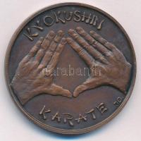 Józsa Gábor (1955-) DN Kyokushin Karate kétoldalas bronz emlékérem (42,5mm) T:1 kis patina
