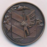 Józsa Gábor (1955-) DN "Kyokushin Karate" kétoldalas bronz emlékérem (42,5mm) T:1 kis pati...