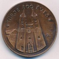 Szabolcs Péter (1942-) 1987. MÉE Zala Megyei Szervezete / Türje 800 éves kétoldalas bronz emlékérem (42,5mm) T:1,1- Adamo ZE5