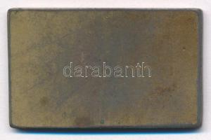 Exner Károly (1850-1919). DN "Az érdem jeléül" egyoldalas bronz emlékplakett (28x44mm) T:1...