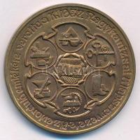 Bogár Lívia (1957-) 1986. "100 éves a Nagykanizsai Ipartestület 1886-1986 / KIOSZ" kétolda...