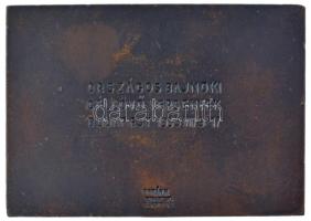 Berán Lajos (1882-1943) 1935. "Országos Magyar Lövész Szövetség 1871" bronz emlékplakett, ...