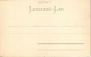 Herkulesfürdő, Baile Herculane; látkép / general view, spa (EK)