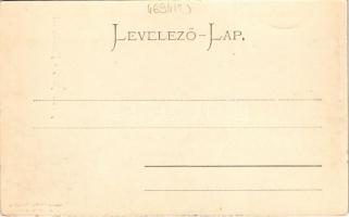 Herkulesfürdő, Baile Herculane; látkép / general view, spa (EK)