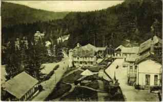 1927 Tusnádfürdő, Baile Tusnad; Vedere / látkép / general view, spa