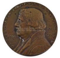 Berán Lajos (1882-1943) 1934. Luther Márton kétoldalas bronz emlékérem D LUTHER MÁRTON BIBLIAFORDÍTÁSA NÉGYSZÁZ ÉVES 1534-1934 / MINDEN NÉPNEK A MAGA NYELVÉN - JÁNOS JEL XIV:6 (40mm) T:1- patina