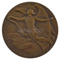 Berán Lajos (1882-1943) 1934. "Luther Márton" kétoldalas bronz emlékérem "D LUTHER MÁ...