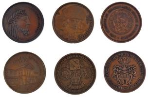 6 darabos bronz emlékérem tétel, közte Zsigmond, Chinoin Hungaria, Liszt Ferenc halálának 100. évfordulójára, A makói városi tanács épülete 150 éves, Szigetközi napok (42mm) T:1-