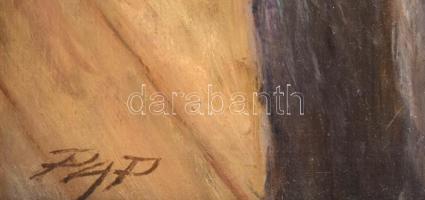 Pap jelzéssel: Pipázó. Olaj, fa, fakeretben, 40x30 cm