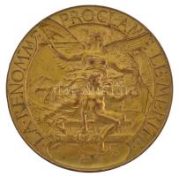 Franciaország ~1930. A hírnév érdemet hirdet egyoldalas bronzlemez emlékérem (55mm) T:2- France ~1930. Fame proclaims merit one-sided bronze plate commemorative medallion (55mm) C:VF