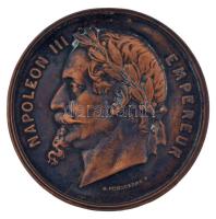 Franciaország ~1900. "III. Napóleon" egyoldalas bronzlemez emlékérem, Szign.:H.Ponscarme (50mm) T:2- France ~1900. "Napoleon III" one-sided bronzeplate commemorative medallion, Sign.:H.Ponscarme (50mm) C:XF