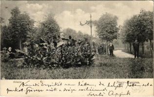 1906 Nagykanizsa, Sétatér. Alt és Böhm kiadása (EK)