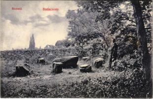 1910 Badacsony, Rózsakő
