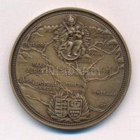 Bognár György (1944-) 1987. "Hungaria Eliberata 1683-1699 - Eger MÉE 1987" bronz emlékérem...