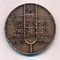 Lapis András (1942-) 1988. 125 éves a Szegedi Kórusmozgalom kétoldalas bronz emlékérem (42mm) T:1-