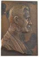 Zsákodi Csiszér János (1883-1953) 1914. Herrmann Sámuel - Társai a munkában, ragaszkodásuk jeléül 1874-1914 egyoldalas bronz plakett (74x51mm) T:2 fo., patina