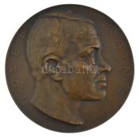 Ausztria 1910. IOSEF KAINZ / 20. SEPT. 1910 bronz emlékérem. Szign.: Hofner (60mm) T:1-,2 kis ph. Austria 1910. IOSEF KAINZ / 20. SEPT. 1910 bronze commemorative medallion. Sign.: Hofner (60mm) C:AU,XF small edge error