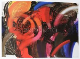 Keserü Ilona művek. 1982-2008. Ilona Keserü works. 1982-2008. Szerk.: Aknai Katalin. Debrecen, 2009....