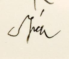 Szász Endre (1926-2003) Ezeregyéjszaka meséi. sorozat egy része. Tus, papír, szép üvegezett fakeretb...