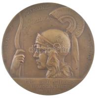 Német Birodalom 1919. "IRMA - STRUNZ - MCMXIX - DEN LIEB ICH, DER UNMÖGLICHES BEGEHRT" egyoldalas bronz emlékérem. Szign.: R. Ruepp (71mm) T:1- patina German Empire 1919. "IRMA - STRUNZ - MCMXIX - DEN LIEB ICH, DER UNMÖGLICHES BEGEHRT" one-sided bronze medallion. Sign: R. Ruepp (71mm) C:AU patina