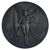 Konkoly Sugár József (1887-) ~1910. "KEAC - Kolozsvári Egyetemi Atlétikai Club" fém díjérem, szignó nélkül (59mm) T:1- patina