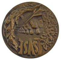 DN CSVSE (Csongrádi Vízügyi Sportegyesület) egyoldalas, öntött bronz plakett (~69-70mm) T:2