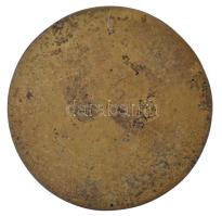 DN "CSVSE (Csongrádi Vízügyi Sportegyesület)" egyoldalas, öntött bronz plakett (~69-70mm) ...