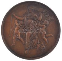 Lengyelország 1892. A lembergi építőipar kétoldalas bronz emlékérem. Szign.: A. Schindler (50mm) T:1- patina, ph. Poland 1892. Construction industry in Lviv two-sided bronze medallion. Sign: A. Schindler. PRZEMYSŁU BUDOWLANEGO WE LWOWIE - 1892 (50mm) C:AU patina, small edge error