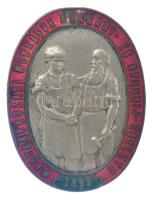 1893. Magyarországi Munkások Rokkant- És Nyugdíj-Egylete zománcozott, ezüstözött gomblyukjelvény (34x26mm) T:2,2- zománchiba