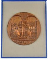 ~1990. Vas megye részletgazdag egyoldalas bronz emlékérem tokjában (115mm) T:1-