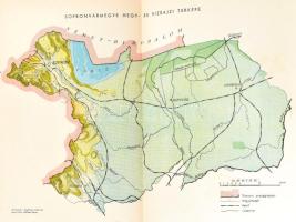 Soproni Elek: A kultursarok gondjai. Sopronvármegye szociális és gazdasági viszonyainak feltárása. A...