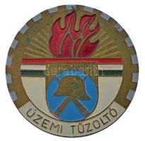 ~1950-1960. Üzemi tűzoltó festett bronz jelvény (41mm) T:1-