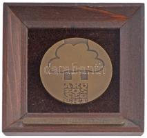 DN Borsod-Abaúj-Zemplén Megye - A Közösségért keretezett bronz plakett (60mm) T:1-