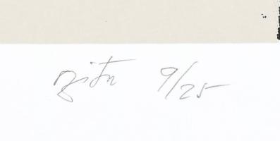 Damó István (1951-): "Nem adom fel" III., 2022. Szitanyomat, papír, jelzett. 9/25 számozás...