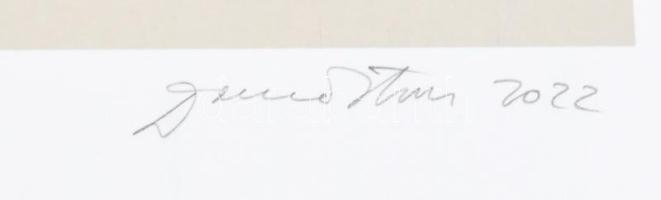 Damó István (1951-): "Nem adom fel" III., 2022. Szitanyomat, papír, jelzett. 9/25 számozás...