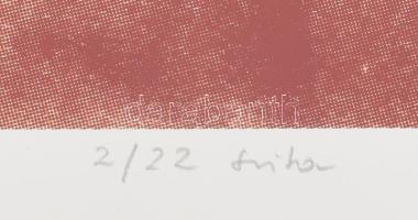 Haász Ágnes (1951-): Zárt struktúra, 2020. Szitanyomat, papír. Jelzett. Számozott (2/22). Hátoldalán...