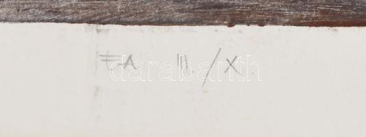 Vitéz Judit (?-): Akt II., 1998. Hidegtű, papír, jelzett. Művészpéldány EA III/X. számozással. Paszp...